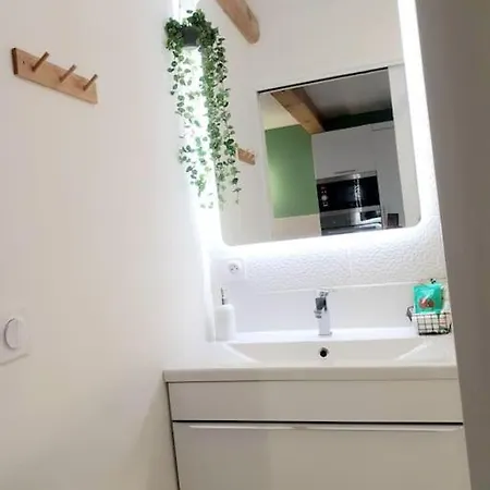 Duplex Avec Jacuzzi *