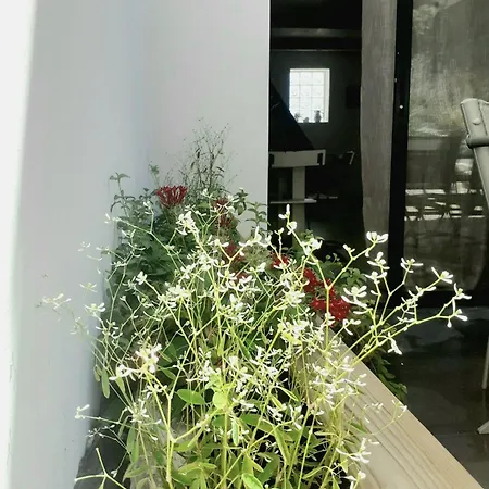 Duplex Avec Jacuzzi 펜션 Aumelas