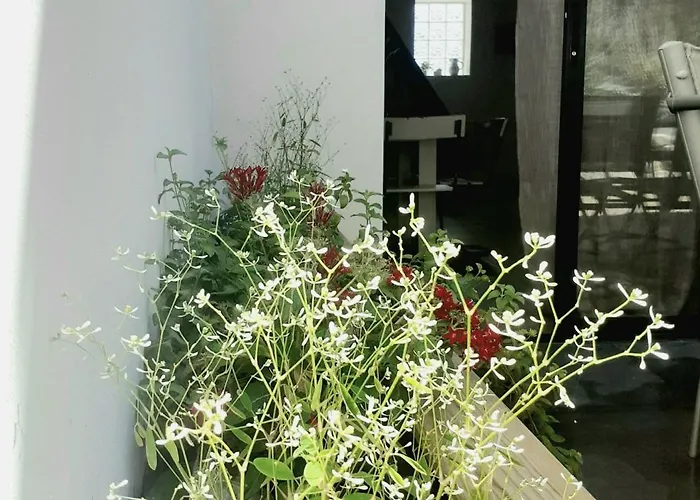 Duplex Avec Jacuzzi Casa vacanze Aumelas